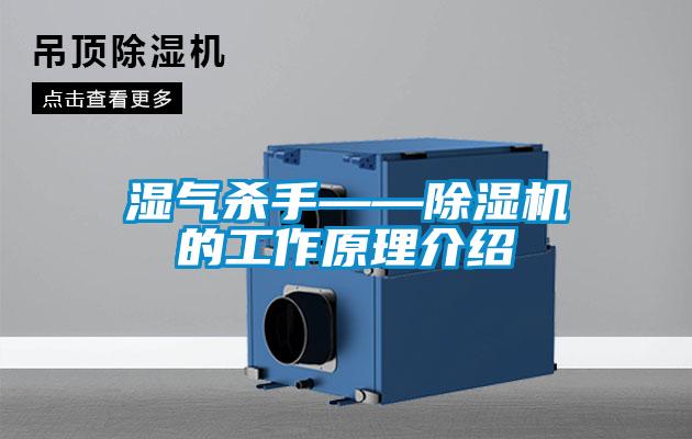 湿气杀手——好色先生污污版的工作原理介绍