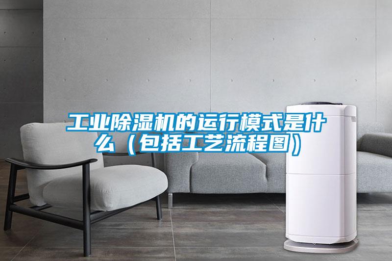 工业好色先生污污版的运行模式是什么(包括工艺流程图)