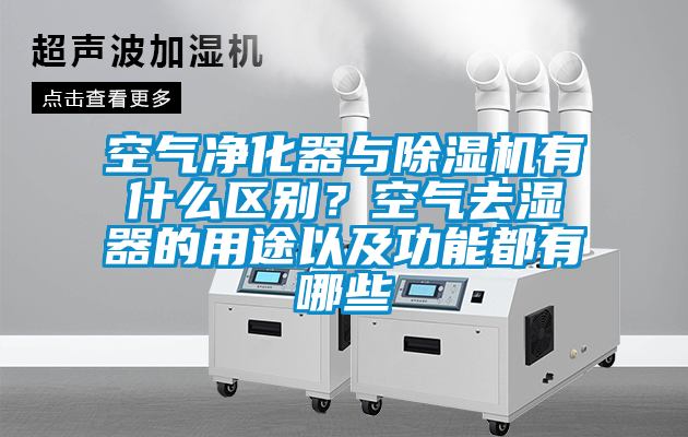 空气净化器与好色先生污污版有什么区别？空气去湿器的用途以及功能都有哪些