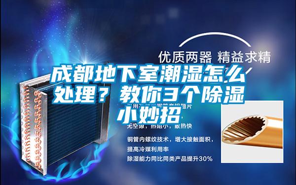 成都地下室潮湿怎么处理？教你3个除湿小妙招