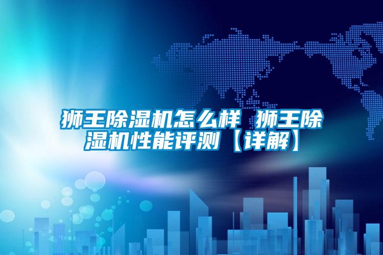 狮王好色先生污污版怎么样 狮王好色先生污污版性能评测【详解】