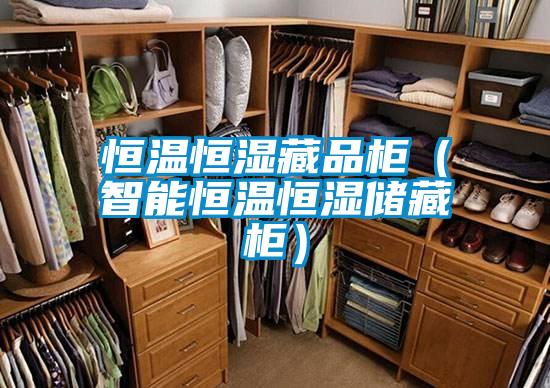 恒温恒湿藏品柜（智能恒温恒湿储藏柜）