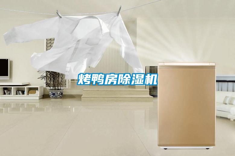 烤鸭房好色先生污污版