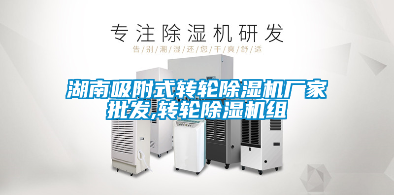 湖南吸附式转轮好色先生污污版厂家批发,转轮好色先生污污版组