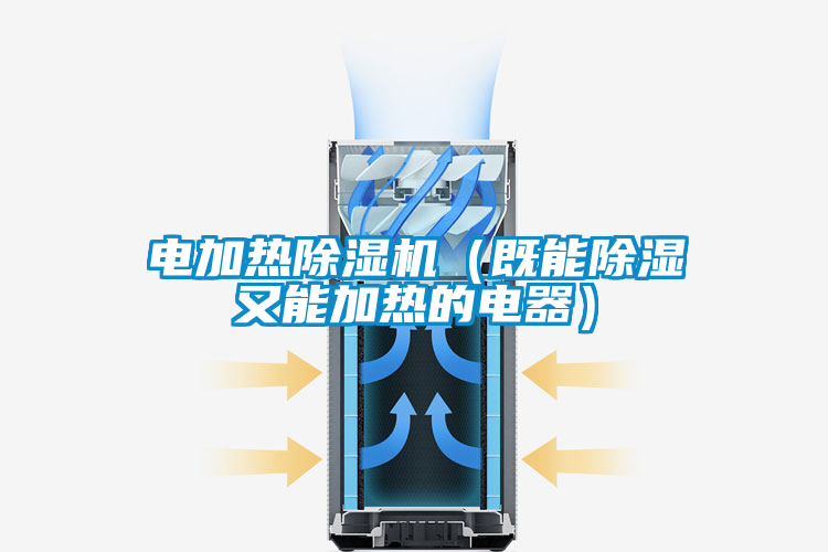 电加热好色先生污污版（既能除湿又能加热的电器）