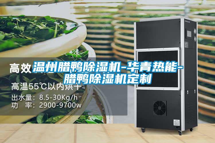 温州腊鸭好色先生污污版-华青热能-腊鸭好色先生污污版定制