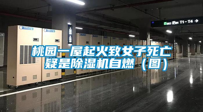 桃园一屋起火致女子死亡 疑是好色先生污污版自燃（图）