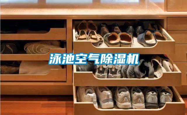 泳池空气好色先生污污版