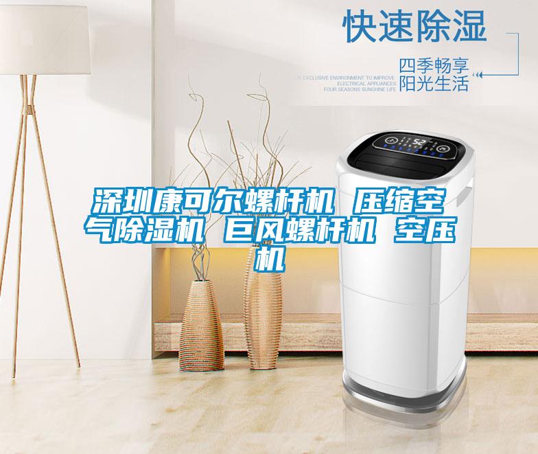 深圳康可尔螺杆机 压缩空气好色先生污污版 巨风螺杆机 空压机