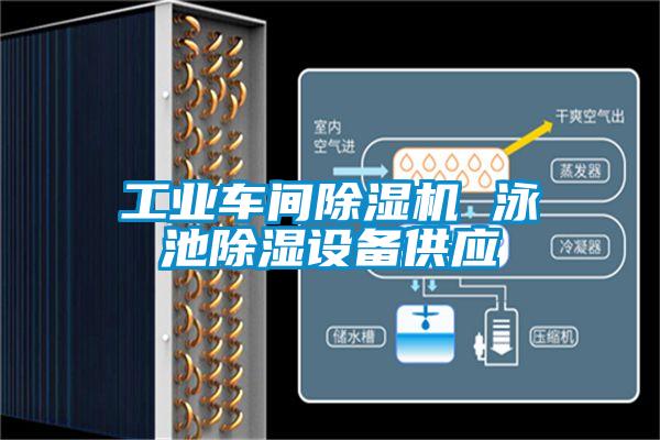 工业车间好色先生污污版 泳池除湿设备供应