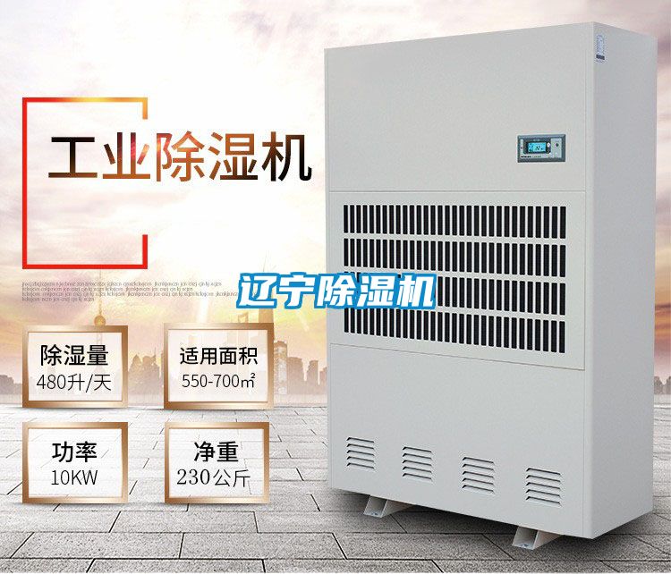 辽宁好色先生污污版