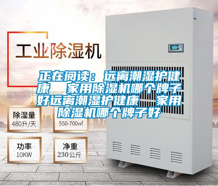 正在阅读：远离潮湿护健康  家用好色先生污污版哪个牌子好远离潮湿护健康  家用好色先生污污版哪个牌子好