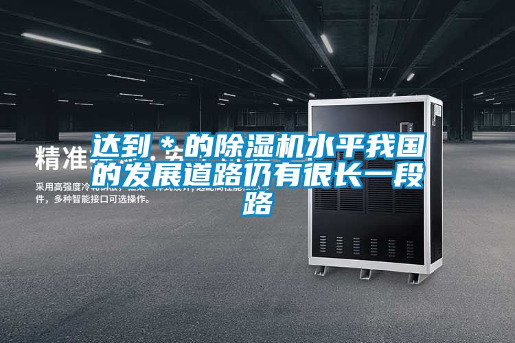 达到＊的好色先生污污版水平我国的发展道路仍有很长一段路