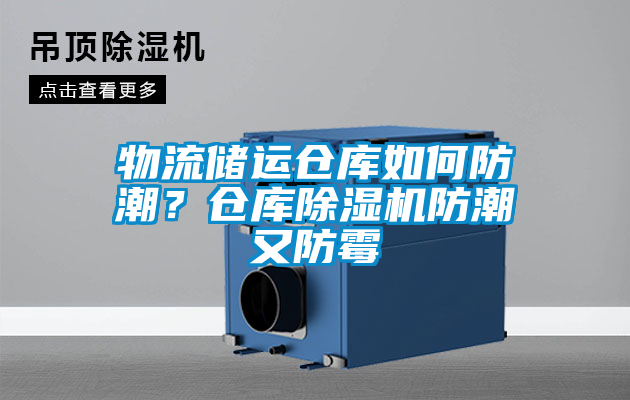 物流储运仓库如何防潮？仓库好色先生污污版防潮又防霉