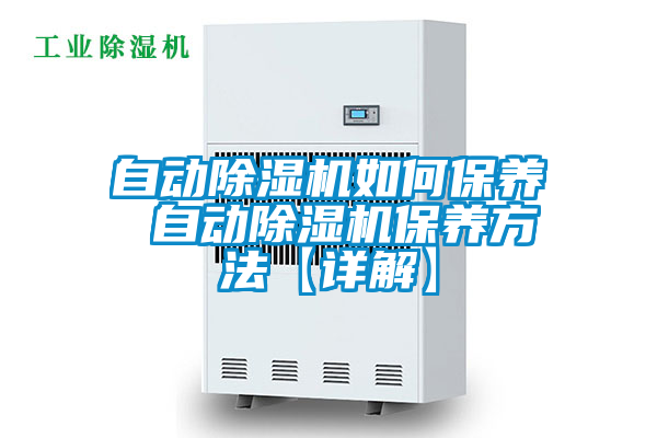 自动好色先生污污版如何保养 自动好色先生污污版保养方法【详解】