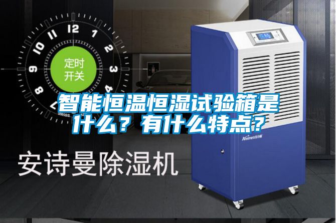 智能恒温恒湿试验箱是什么？有什么特点？