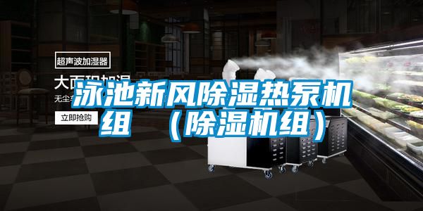 泳池新风除湿热泵机组 （好色先生污污版组）