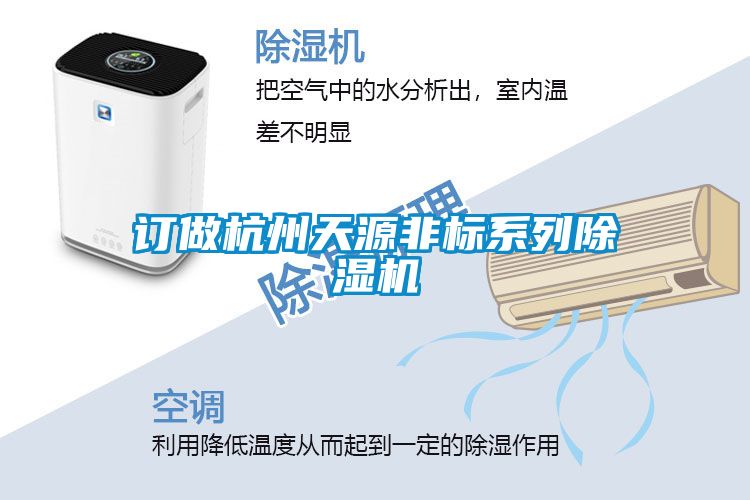 订做杭州天源非标系列好色先生污污版