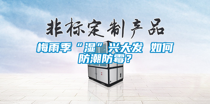 梅雨季“湿”兴大发 如何防潮防霉？