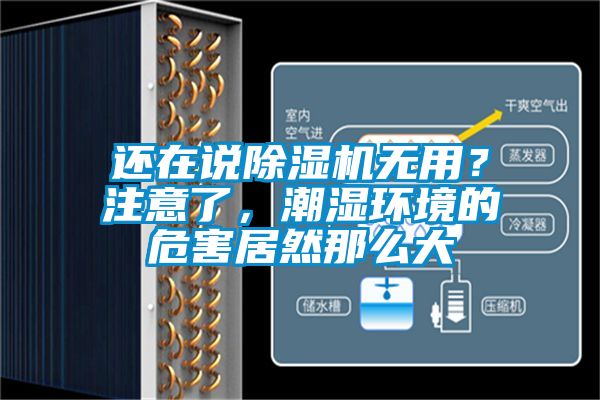 还在说好色先生污污版无用？注意了，潮湿环境的危害居然那么大