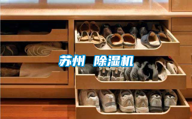 苏州 好色先生污污版