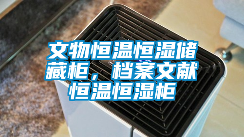 文物恒温恒湿储藏柜，档案文献恒温恒湿柜