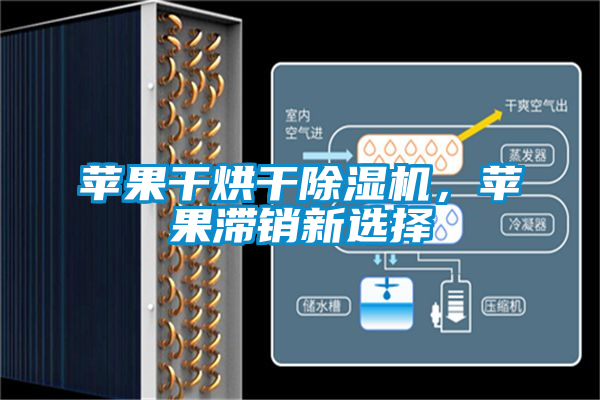 苹果干烘干好色先生污污版，苹果滞销新选择