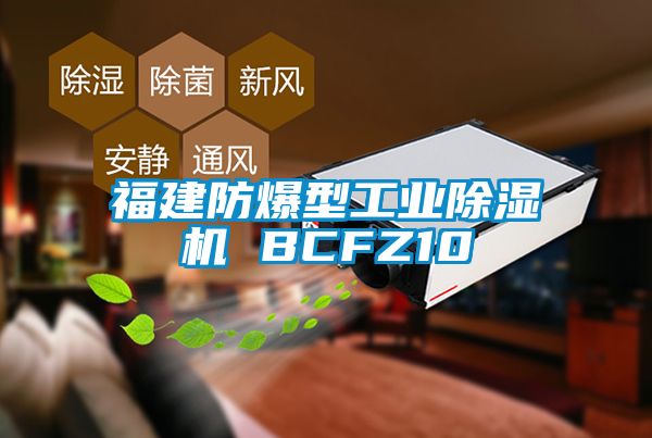福建防爆型工业好色先生污污版 BCFZ10