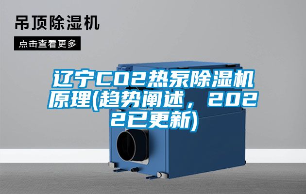 辽宁CO2热泵好色先生污污版原理(趋势阐述，2022已更新)