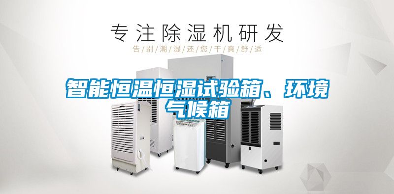 智能恒温恒湿试验箱、环境气候箱