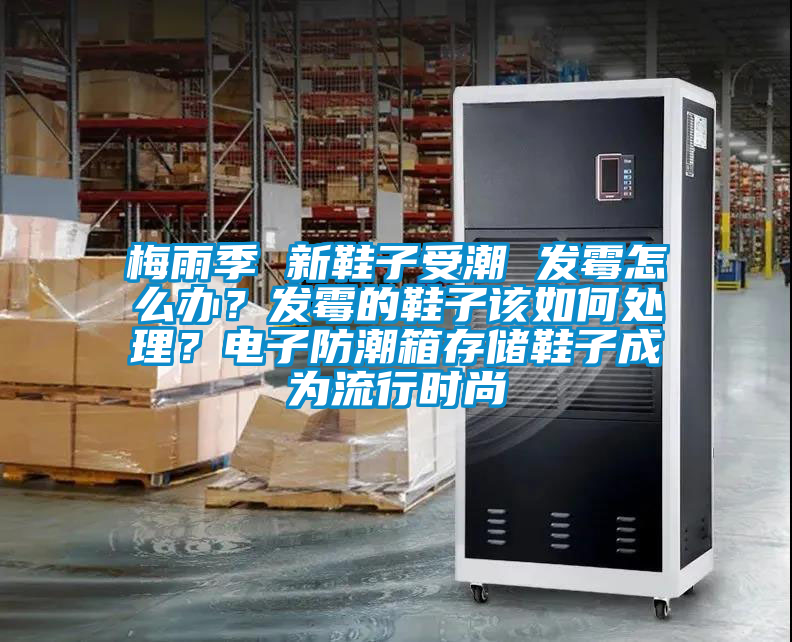 梅雨季 新鞋子受潮 发霉怎么办？发霉的鞋子该如何处理？电子防潮箱存储鞋子成为流行时尚