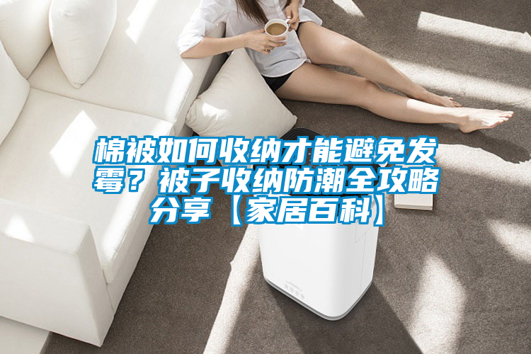 棉被如何收纳才能避免发霉？被子收纳防潮全攻略分享【家居百科】