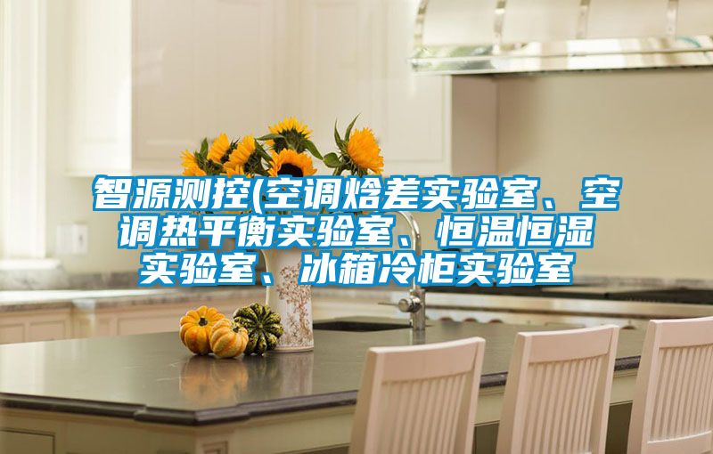 智源测控(空调焓差实验室、空调热平衡实验室、恒温恒湿实验室、冰箱冷柜实验室