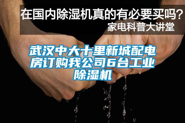武汉中大十里新城配电房订购我公司6台工业好色先生污污版