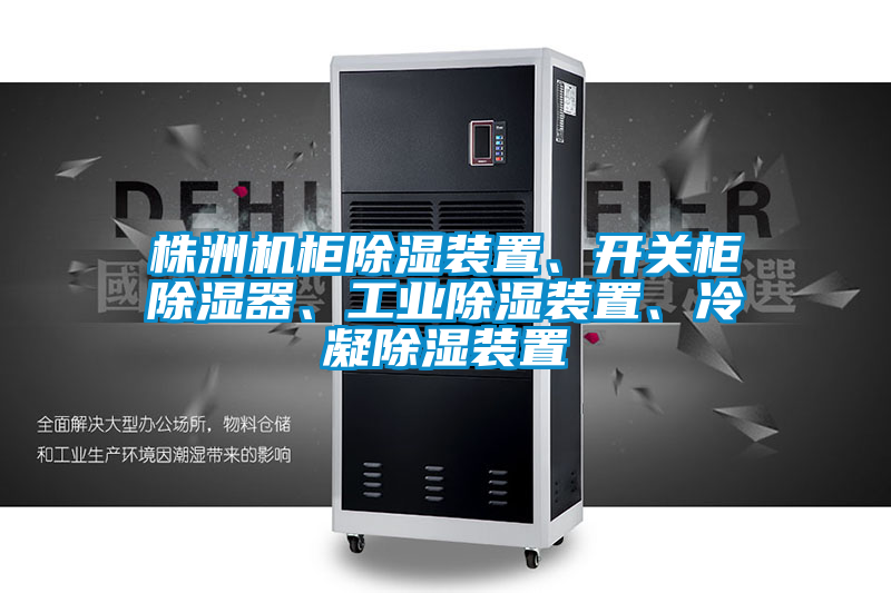 株洲机柜除湿装置、开关柜除湿器、工业除湿装置、冷凝除湿装置
