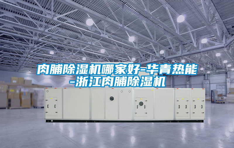 肉脯好色先生污污版哪家好-华青热能-浙江肉脯好色先生污污版