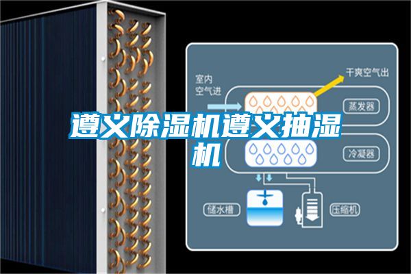 遵义好色先生污污版遵义抽湿机