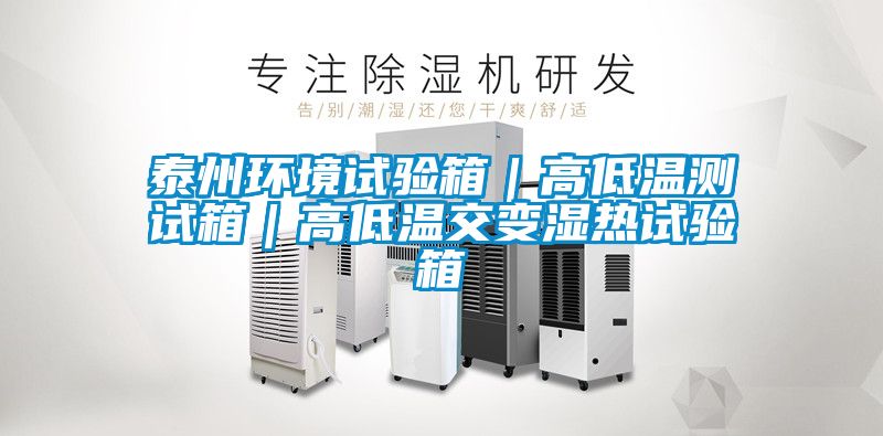 泰州环境试验箱|高低温测试箱|高低温交变湿热试验箱