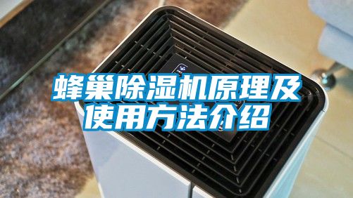 蜂巢好色先生污污版原理及使用方法介绍