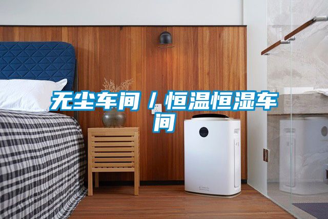 无尘车间/恒温恒湿车间