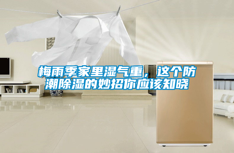 梅雨季家里湿气重，这个防潮除湿的妙招你应该知晓