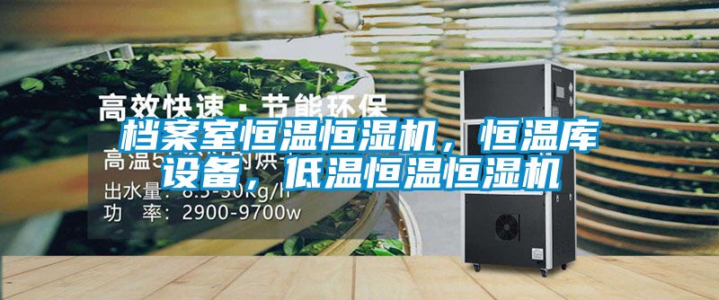 档案室恒温恒湿机，恒温库设备，低温恒温恒湿机
