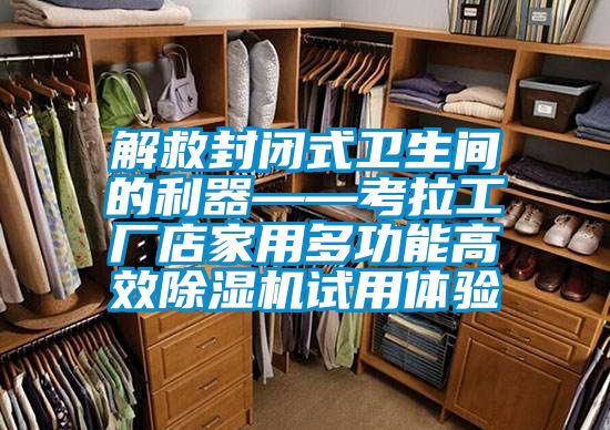 解救封闭式卫生间的利器——考拉工厂店家用多功能高效好色先生污污版试用体验
