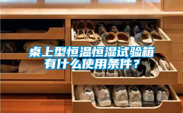 桌上型恒温恒湿试验箱有什么使用条件？