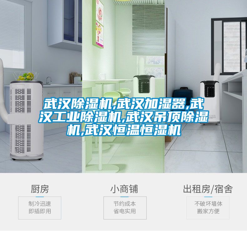 武汉好色先生污污版,武汉加湿器,武汉工业好色先生污污版,武汉吊顶好色先生污污版,武汉恒温恒湿机