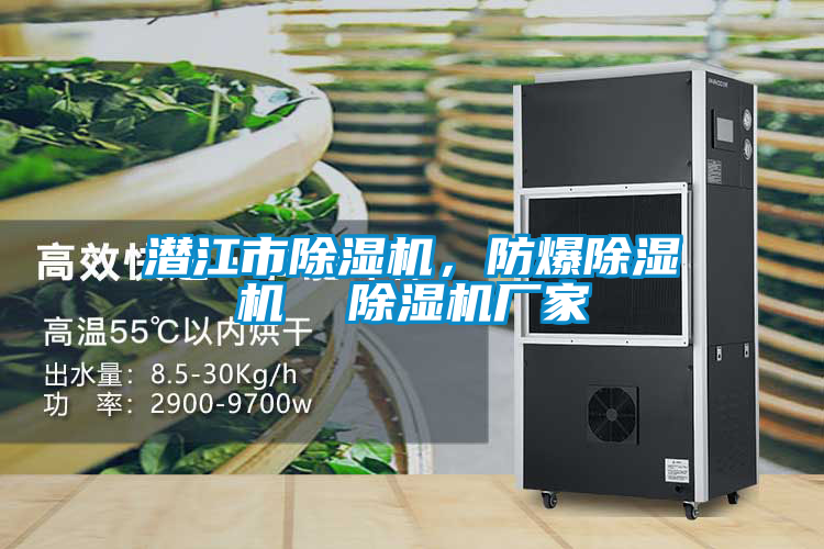 潜江市好色先生污污版，防爆好色先生污污版  好色先生污污版厂家