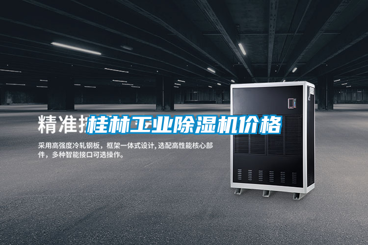 桂林工业好色先生污污版价格