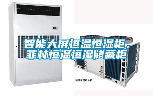 智能大屏恒温恒湿柜，菲林恒温恒湿储藏柜