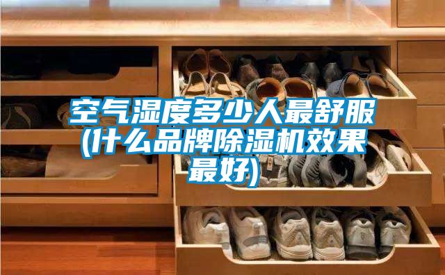 空气湿度多少人最舒服(什么品牌好色先生污污版效果最好)