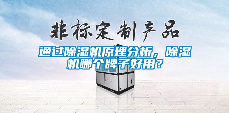 通过好色先生污污版原理分析，好色先生污污版哪个牌子好用？